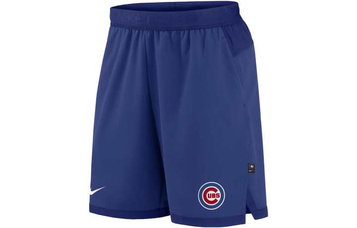Nike Nike Casual Shorts Men's Blue Moderate