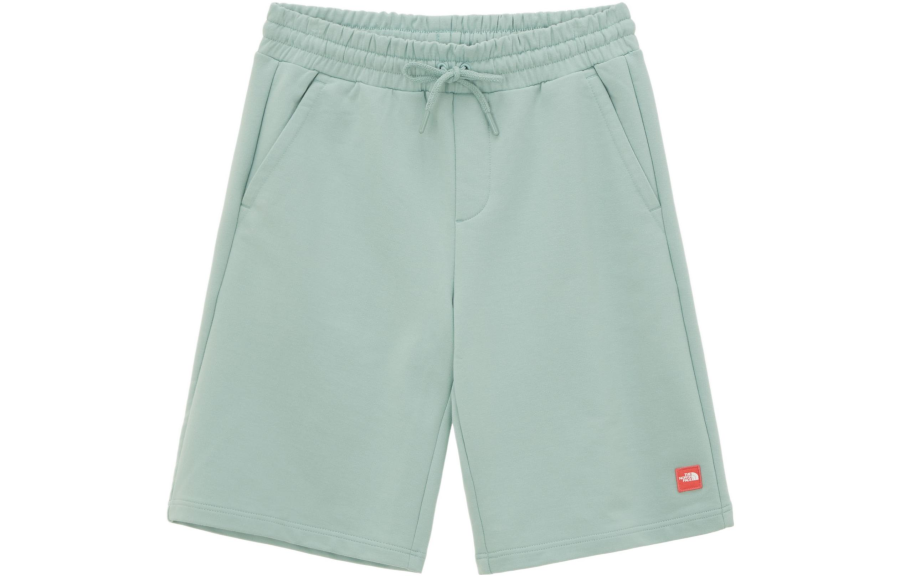 THE NORTH FACE Casual Shorts Men's Green Moderate