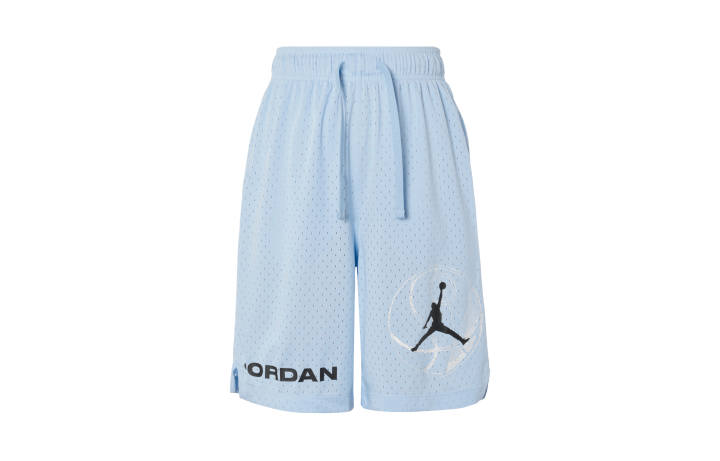 Jordan Jordan Casual Shorts Men's Blue