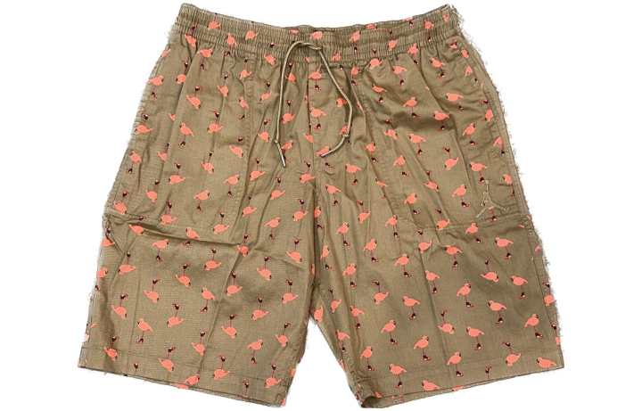 Jordan Jordan Casual Shorts Men's Khaki Moderate