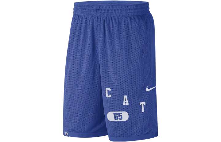Nike Nike Casual Shorts Men's Blue Moderate