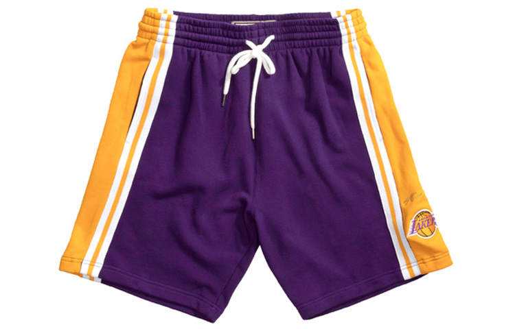 Mitchell Ness Mitchell Ness Basketball Shorts Men's Purple