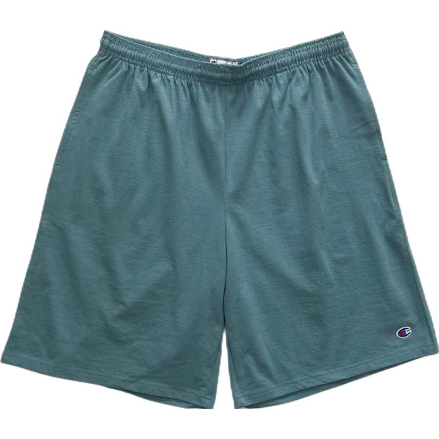 Champion Casual Shorts Unisex Lake Blue Moderate