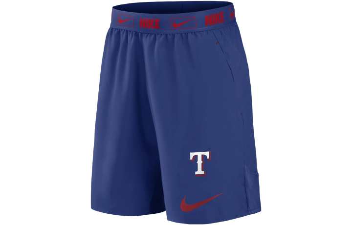 Nike Nike Casual Shorts Men's Blue Moderate