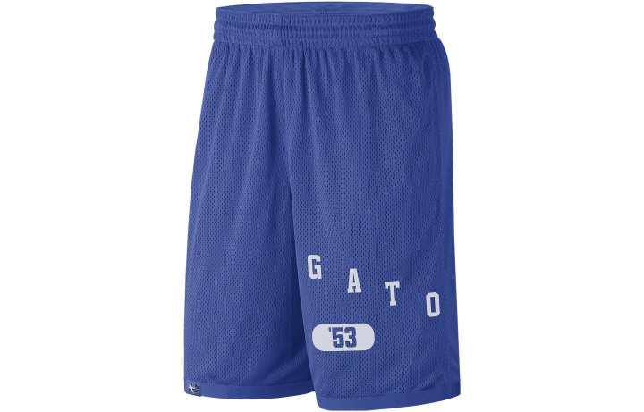 Nike Nike Casual Shorts Men's Blue Moderate