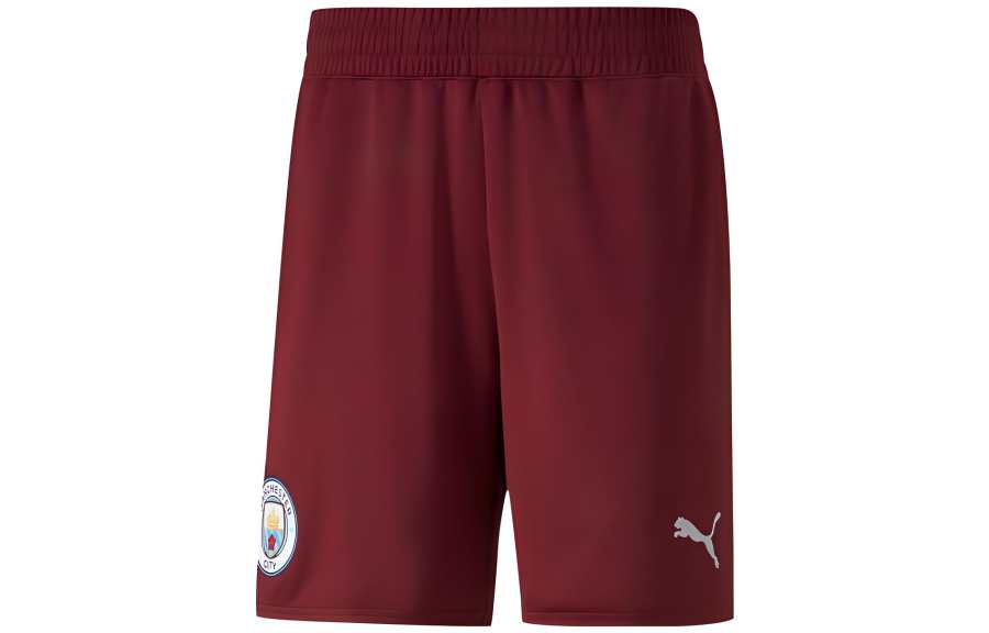 PUMA AC Beige Blue Casual Shorts Men's