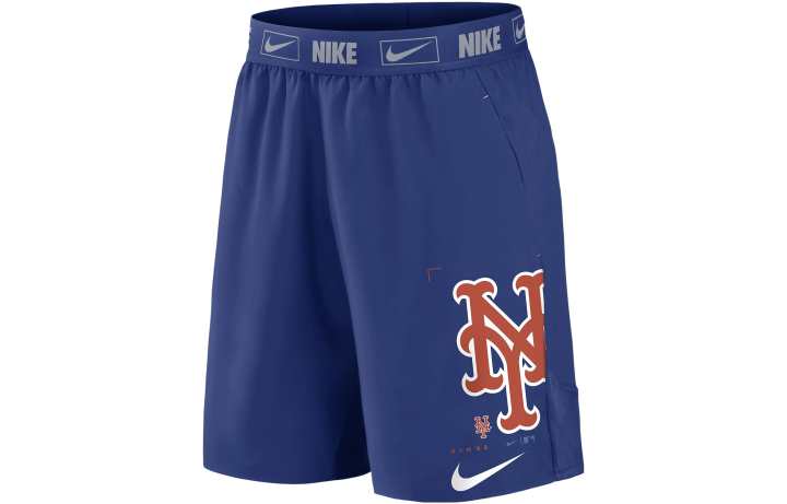 Nike Nike Casual Shorts Men's Blue Moderate