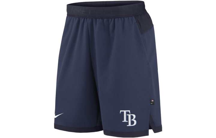 Nike Nike Casual Shorts Men's Blue Moderate