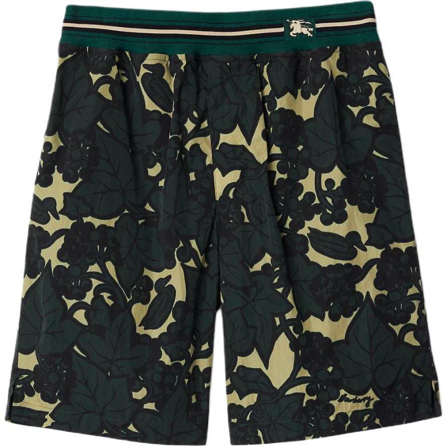 Burberry Casual Shorts Men's Multicolor