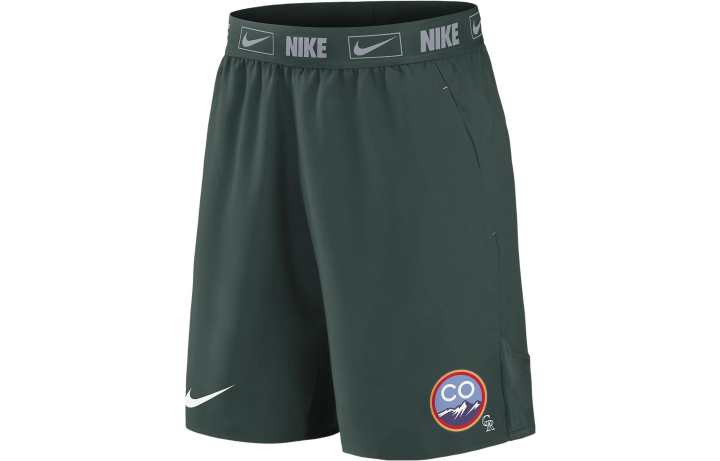 Nike Nike Dri Fit Casual Shorts Men's Jasper