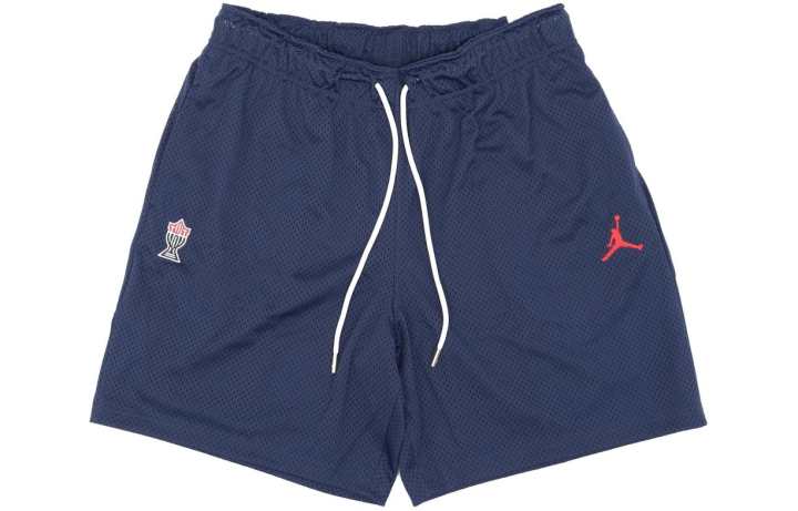 Jordan Jordan Casual Shorts Men's Blue