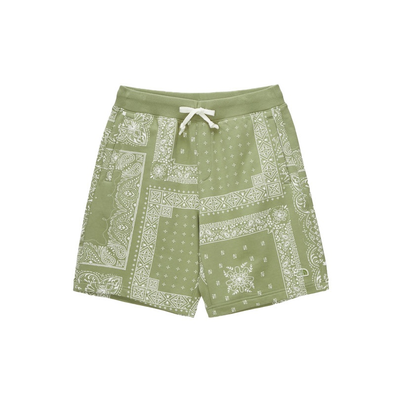 THE NORTH FACE Casual Shorts Men's Green