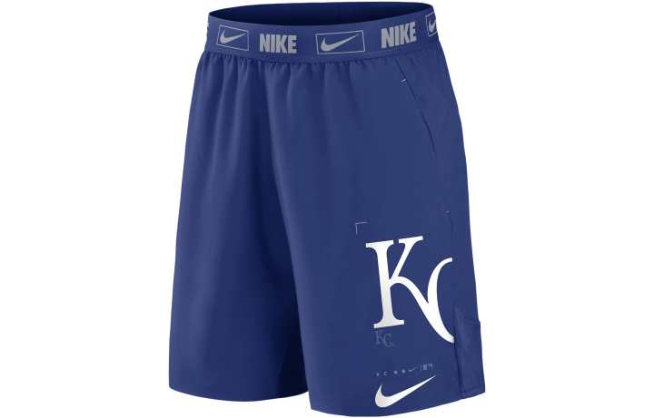 Nike Nike Casual Shorts Men's Blue Moderate