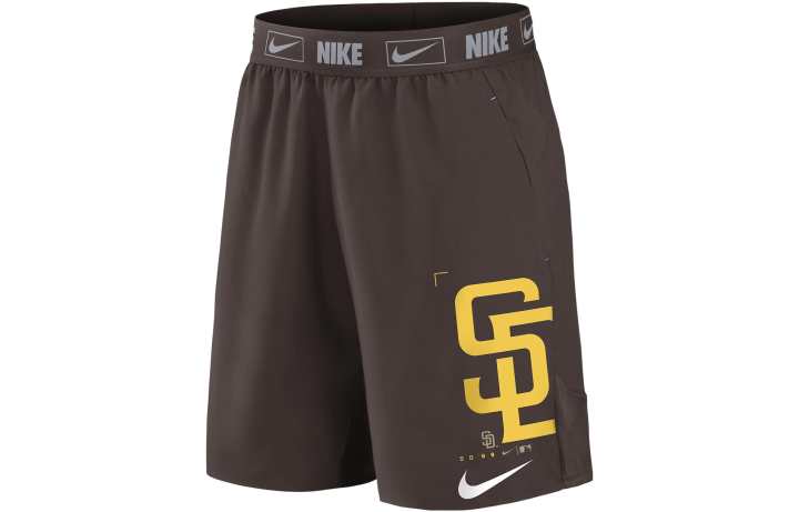 Nike Nike Casual Shorts Men's Dark Gray Moderate