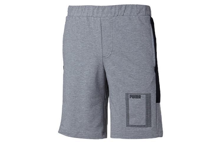 PUMA Sports Shorts Men's Gray Moderate