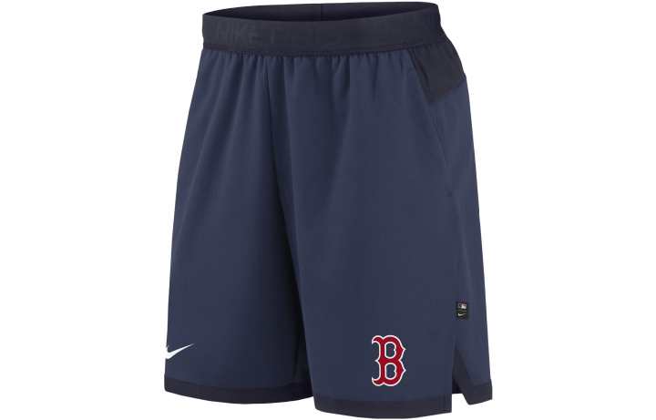 Nike Nike Casual Shorts Men's Blue Moderate