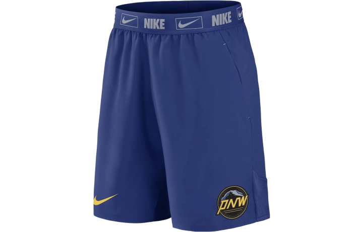 Nike Nike Dri Fit Casual Shorts Men's Royal Blue Moderate