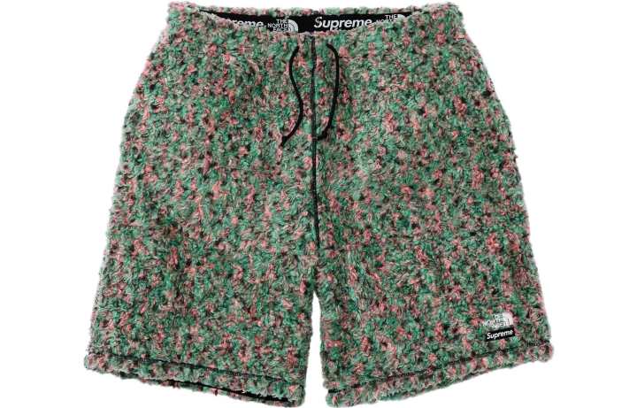 Supreme Supreme x THE NORTH FACE The North Face Collaboration Casual Shorts Unisex