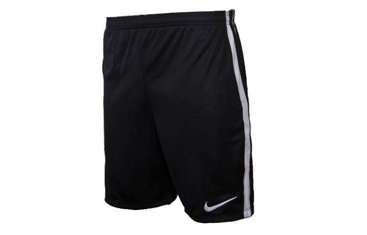 Nike Nike Sports Shorts Men's Thin