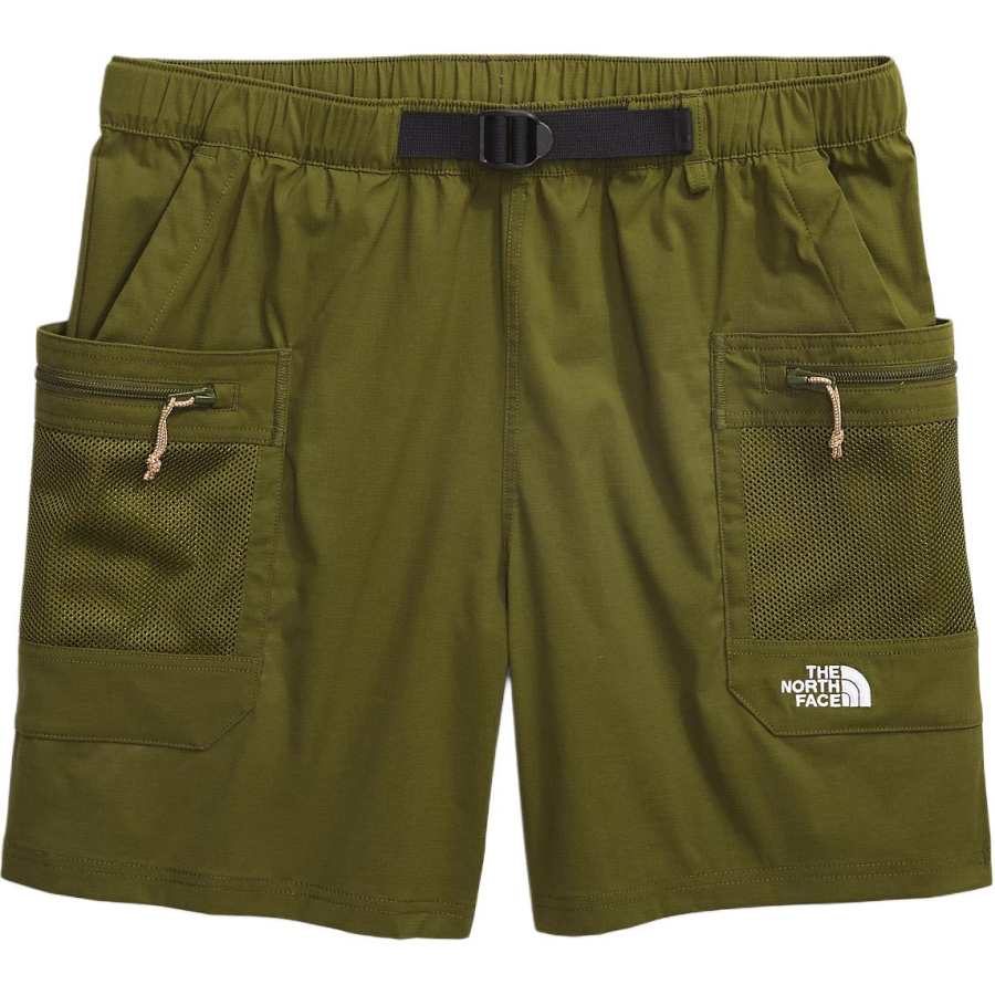 THE NORTH FACE Apparel Collection Class V Pathfinder Belted Shorts Casual Shorts Men's Olive Green