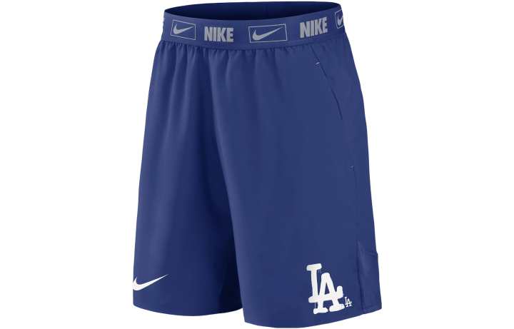 Nike Nike Casual Shorts Men's Blue Moderate