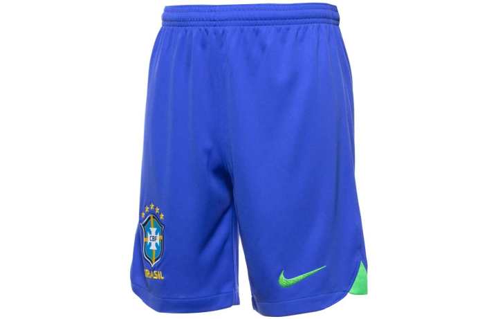 Nike Nike Casual Shorts Men's Blue Moderate
