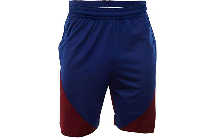 Nike Nike Casual Shorts Men's Blue Moderate