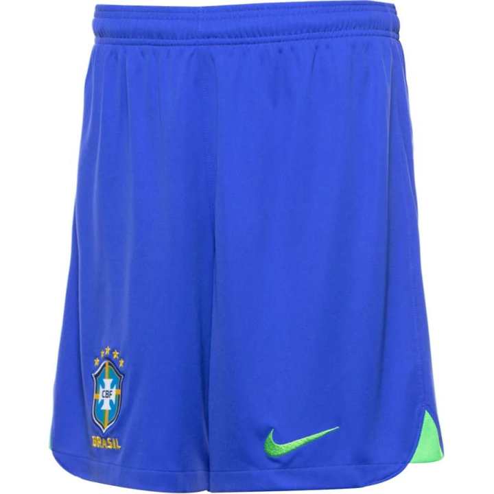Nike Nike Casual Shorts Men's Blue Moderate