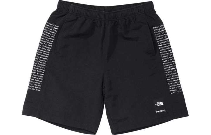 Supreme Supreme x The North Face Bermuda shorts