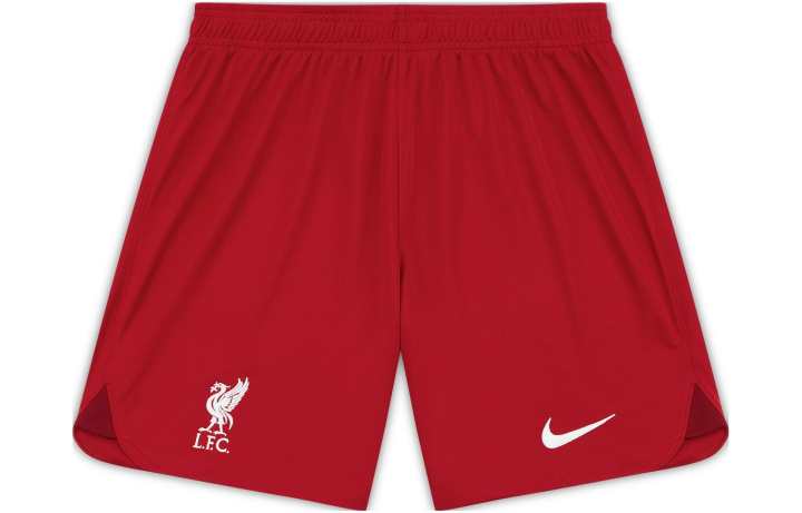 Nike Nike Dri Fit Soccer Bottoms Men's Dark Red Moderate Straight Fit Pants