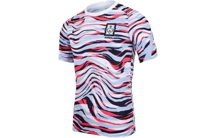 Nike Nike Korea National Team Soccer Jerseys Unisex Multicolor Moderate