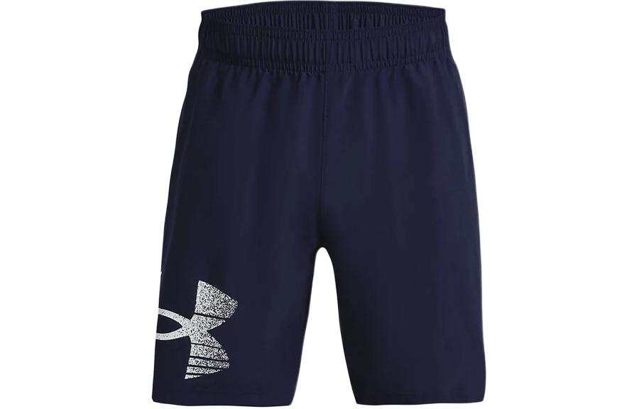 Under Armour Casual Shorts Men's Navy Blue