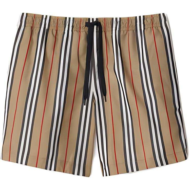 Burberry Striped Check Print Swim Shorts