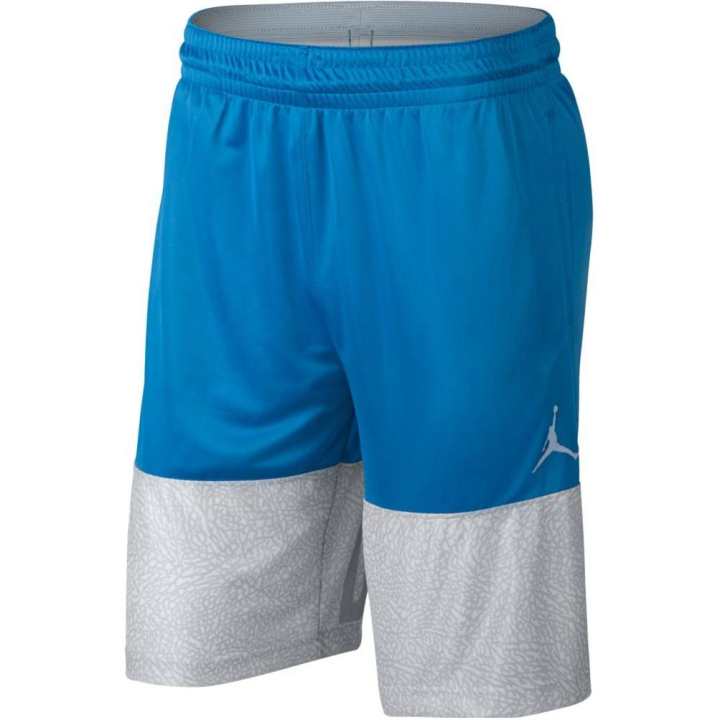 Jordan Jordan Casual Shorts Men's Blue Gray