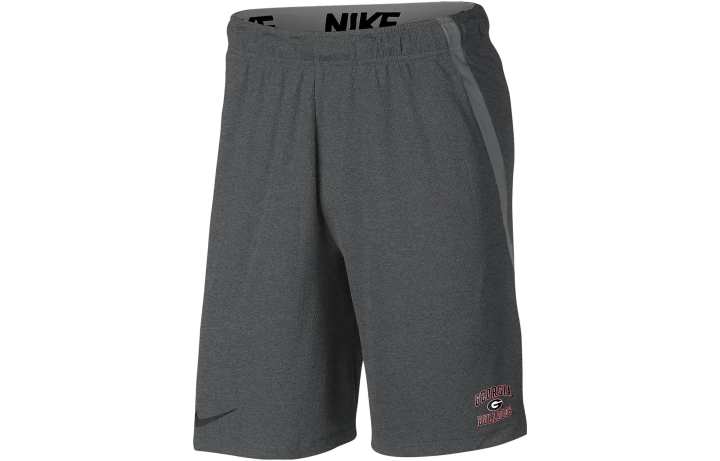 Nike Nike Sports Shorts Men's Gray Moderate