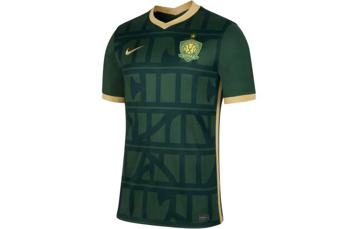 Nike Nike Beijing Guoan Soccer Jerseys Men's Green Moderate