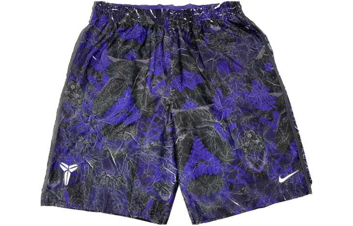 Nike Nike Sports Shorts Men's Purple Moderate