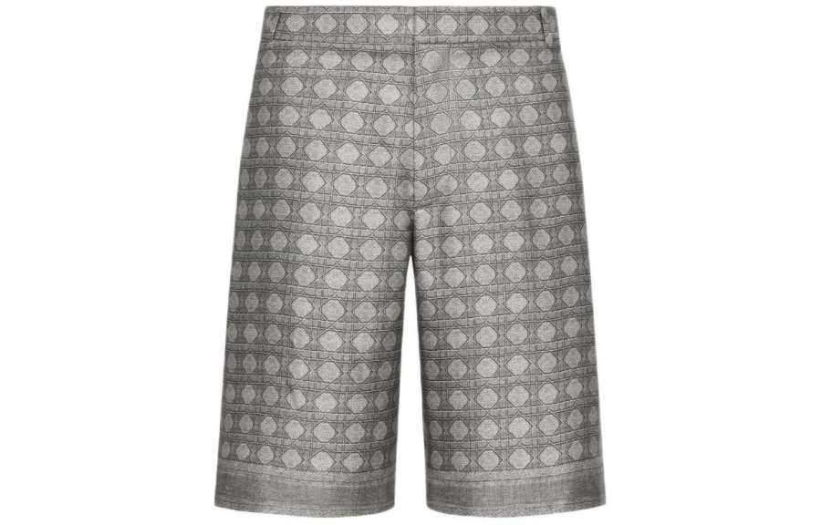 DIOR DIOR SS24 Casual Shorts Men's Gray