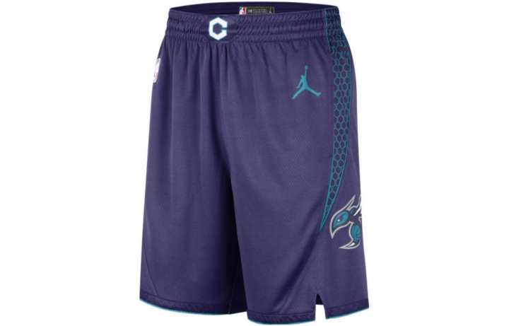 Jordan Jordan Charlotte Hornets Statement Edition Shorts