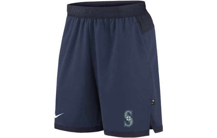 Nike Nike Sports Shorts Men's Marine