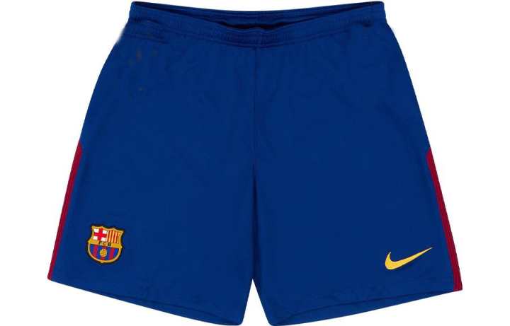 Nike Nike Sports Shorts Men's Blue Moderate