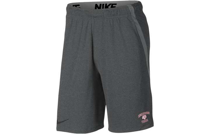 Nike Nike Sports Shorts Men's Gray Moderate