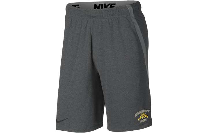 Nike Nike Sports Shorts Men's Gray Moderate