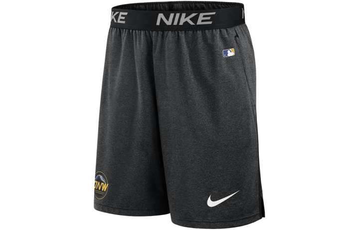 Nike Nike Seattle Mariners City Connect Practice Men's Nike Dri FIT Mlb Shorts
