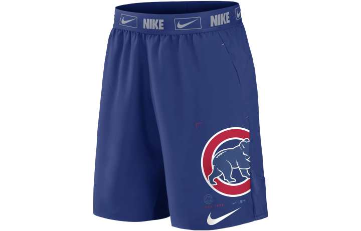 Nike Nike Sports Shorts Men's Blue Moderate