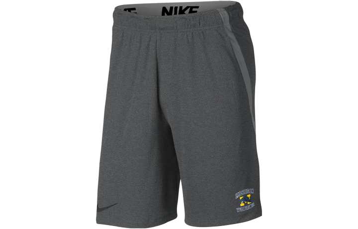 Nike Nike Sports Shorts Men's Gray Moderate
