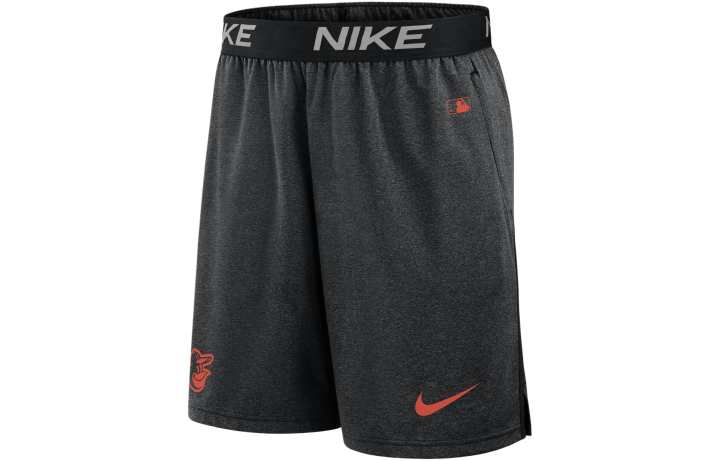 Nike Nike New York Mets Authentic Collection Men's Nike Dri FIT Mlb Shorts