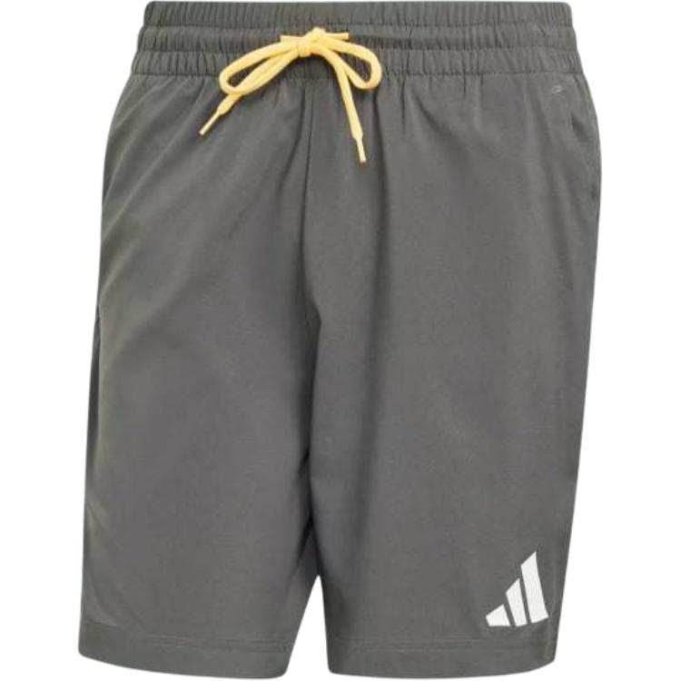 Adidas Adidas TEAM DEUTSCHLAND TRAININGSSHORTS Soccer Bottom Men's Gray