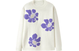 PEACEBIRD Sweaters Women's Crew Neck Moderate Other