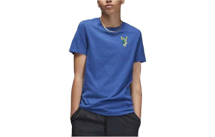 Jordan Jordan Flight T Shirt Women's Blue